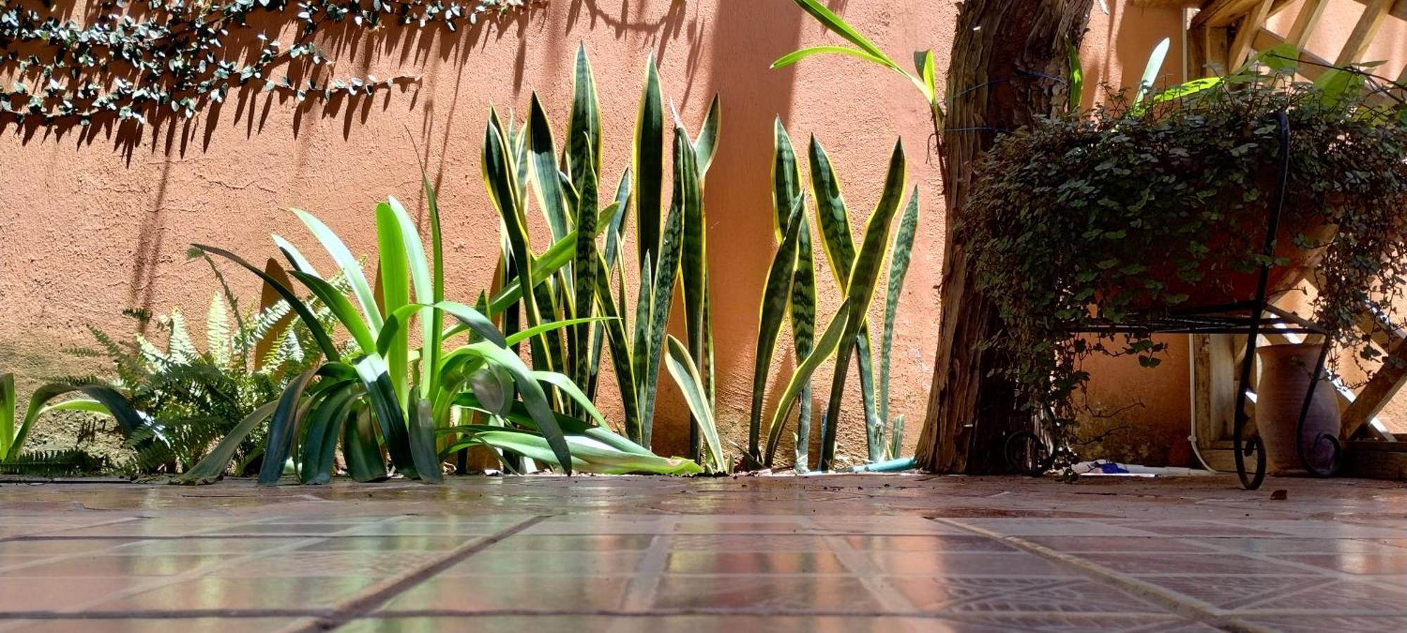 Hotel Tierra Maya San Cristóbal de Las Casas Eksteriør bilde